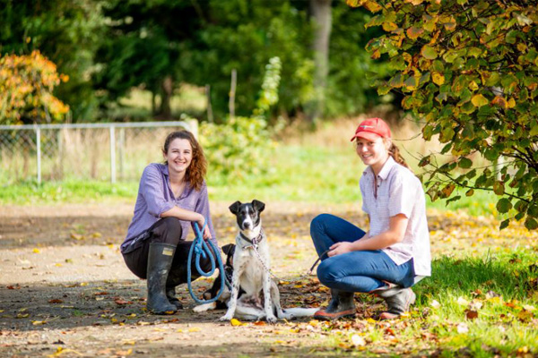 On-site student dog kennels